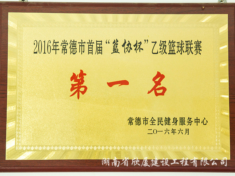 2016籃協杯